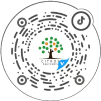 香橼树抖音